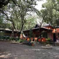 Jinka Resort