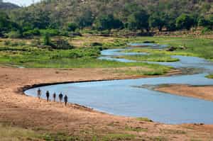 Pafuri Walking Trails