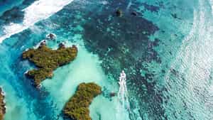 Cosmoledo Atoll