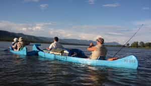Fish Eagle Safari