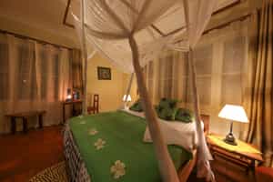 Papyrus Guest House