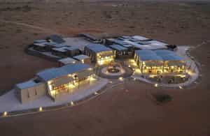 The Desert Grace