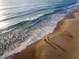 Sava Dunes