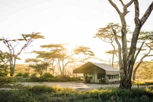 Olaado Ndutu Camp