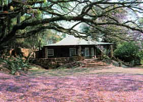 Reilly's Rock Hill Top Lodge