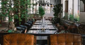 Gorgeous George Boutique Hotel