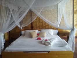 Black Lemur Camp