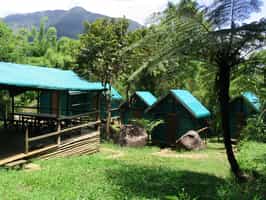Camp Mantella