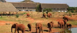 Manyatta Camp