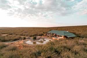 Rockfig Lodge Madikwe