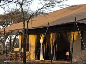 View of the tent from outside