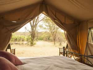 Tent interior