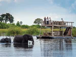 Elephant crossing the Linyanti