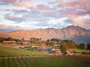 La Residence and Vineyard suites - Franschhoek