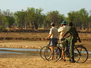Cycling safari