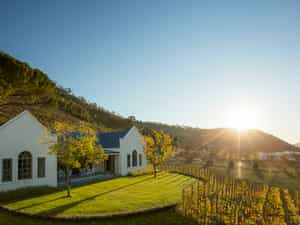 Vineyard Cottage 