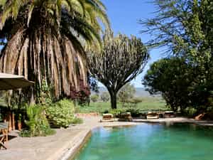 The pool area is a great and relaxing place to be while viewing wildlife passing by at the Sanctuary