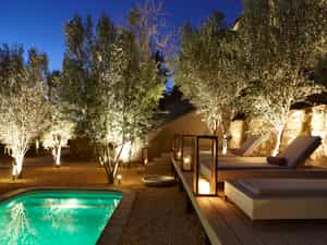 Main pool set amongst the Olive Tree plantaion