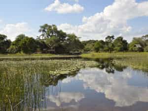 River view
