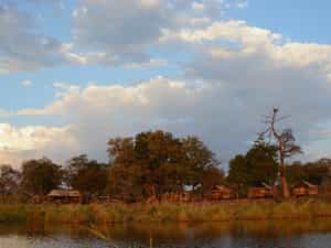 The camp seen from the Linyanti marsh