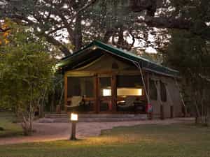 The forest tents are set beneath sturdy knobthorn trees