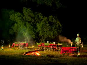 Dinning in the bush under the stars