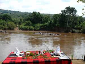 Pleasant meal by the river