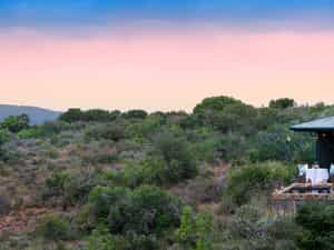 Kwandwe consists of 22 000 ha/ 54 000 acres of pristine wilderness in South Africa's Eastern Cape