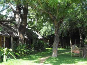 The mgoza lodge gaeden and rooms
