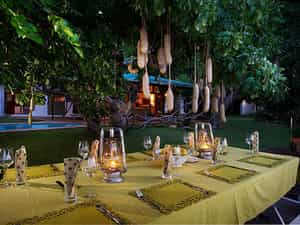 Beautiful Gardens with Swimming Pool