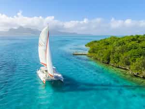 Catamaran cruise near l'Ile aux Aigrettes or to Ile auc Cerfs