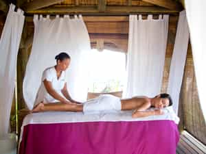 Wellness Centre
