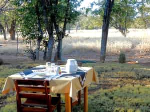 Enjoy breakfast surrounded by nature @ Kamanjab Rest Camp