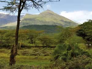 Hatari Lodge at the foot of Mt Meru