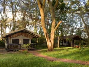 Tented Rooms
