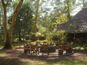 Grounds