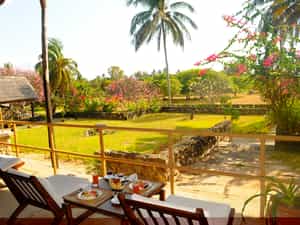 Mafia Island Lodge gardens