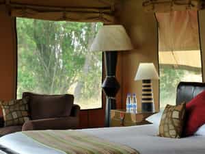 Interior view of Bedroom