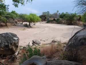Mwagusi Safari Camp....the view from your accommodation