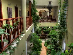 Seyyida rooms are built around the courtyard to overlook the hanging garden.