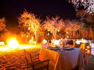 Boma dinner under the stars