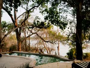 Cool off in the pool and enjoy the views over the Rufiji River from your own private camp.