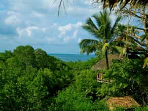Stunning views of the ocean from the open planned tree houses