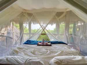 Coffee in bed in your tree house