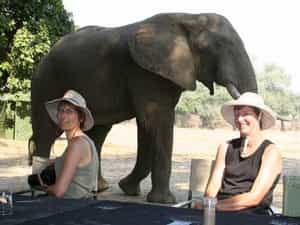 Meeting the local residents while in camp is always a possibility.