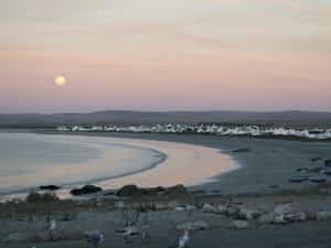 Moon rising over the bay