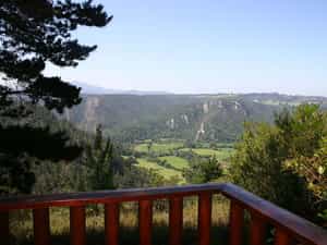 King's Gift - View