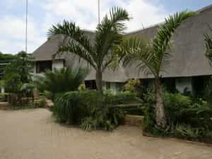 The swimming pool