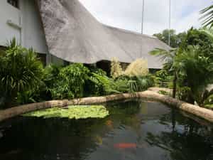 African Ambience