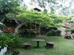Ndiza Garden